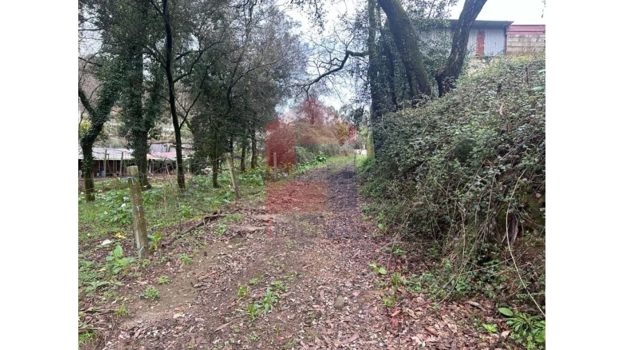 Terreno para Venda em Pico de Regalados, Gondiães e Mós Foto 16
