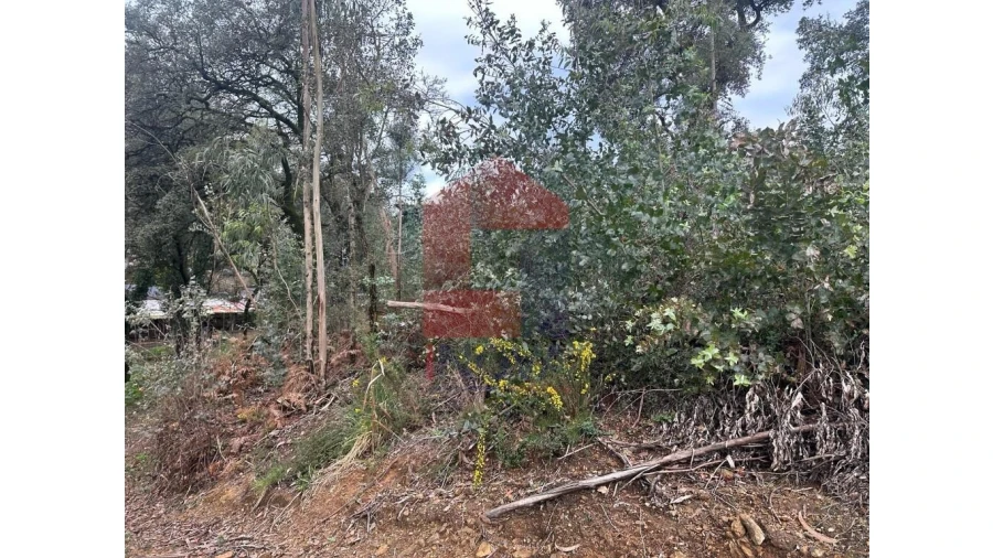 Terreno para Venda em Pico de Regalados, Gondiães e Mós Foto 6