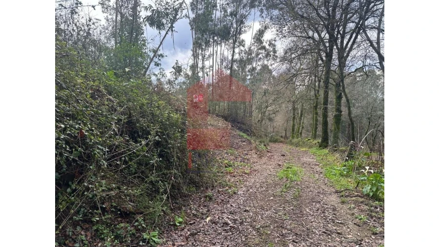 Terreno para Venda em Pico de Regalados, Gondiães e Mós Foto 15