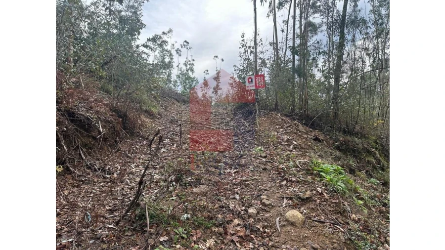 Terreno para Venda em Pico de Regalados, Gondiães e Mós Foto 2