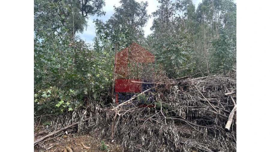 Terreno para Venda em Pico de Regalados, Gondiães e Mós Foto 7