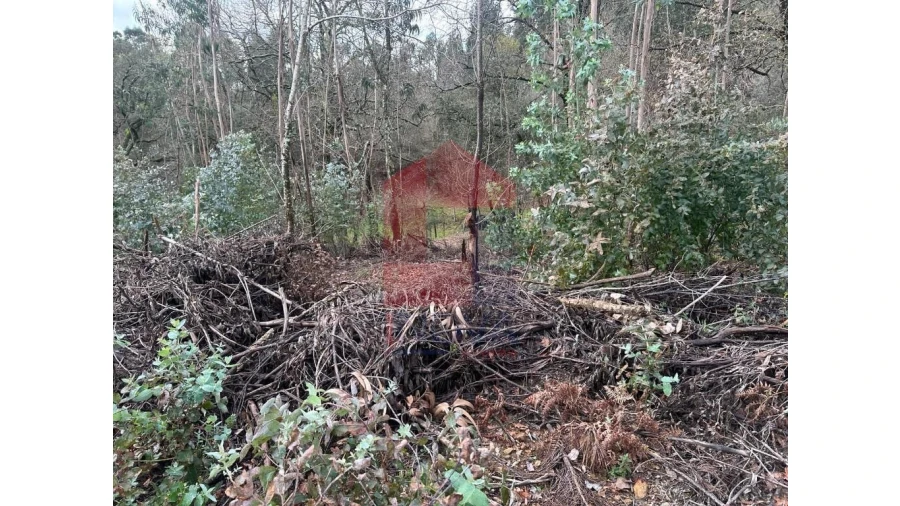 Terreno para Venda em Pico de Regalados, Gondiães e Mós Foto 13