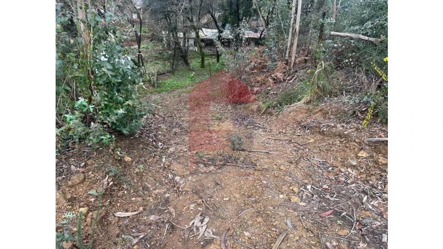 Terreno para Venda em Pico de Regalados, Gondiães e Mós Foto 8