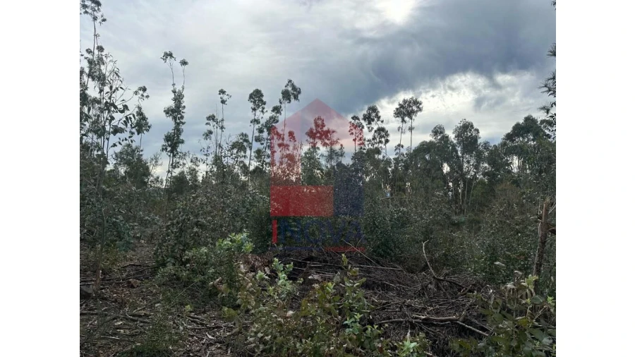 Terreno para Venda em Pico de Regalados, Gondiães e Mós Foto 11