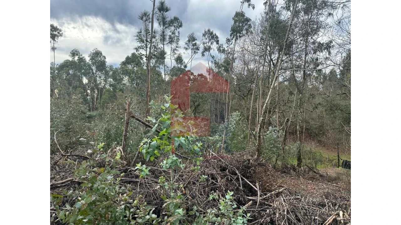 Terreno para Venda em Pico de Regalados, Gondiães e Mós Foto 12