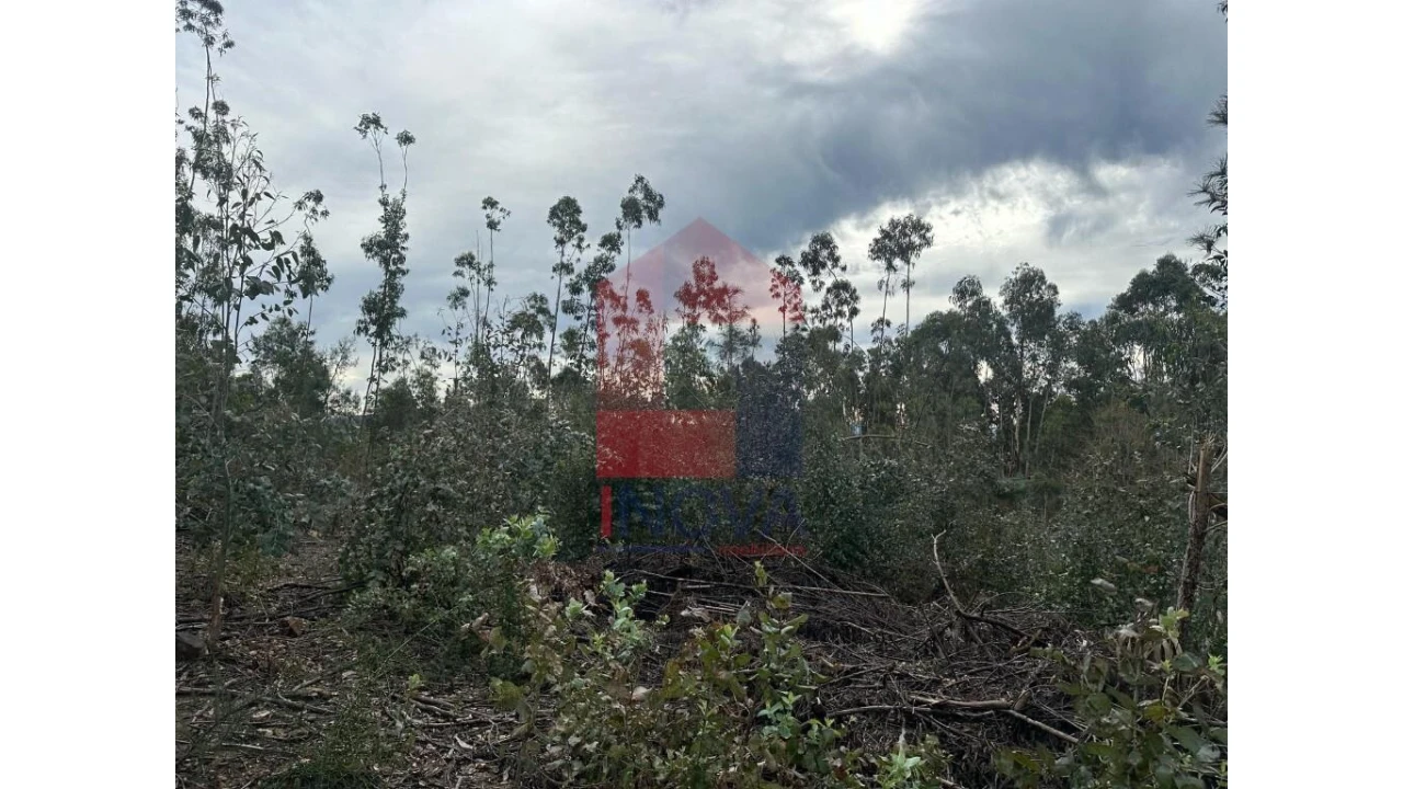 Terreno para Venda em Pico de Regalados, Gondiães e Mós Foto 11