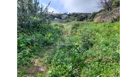 Terreno para Venda em Gaula