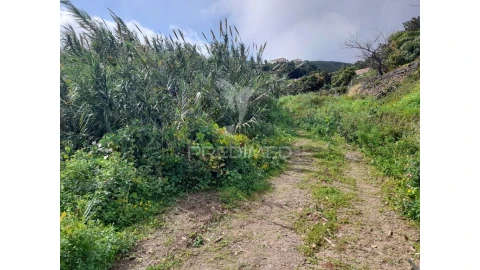 Terreno para Venda em Gaula