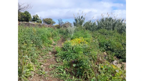 Terreno para Venda em Gaula