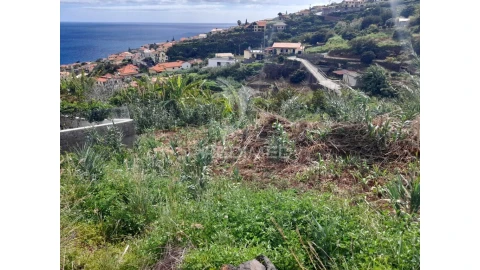 Terreno para Venda em Gaula