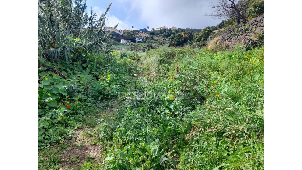 Terreno para Venda em Gaula Foto 4