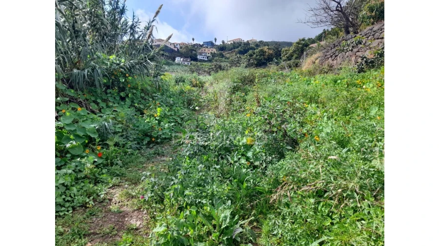 Terreno para Venda em Gaula Foto 4