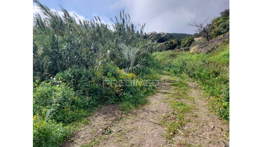 Terreno para Venda em Gaula Foto 5