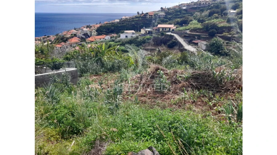 Terreno para Venda em Gaula Foto 2