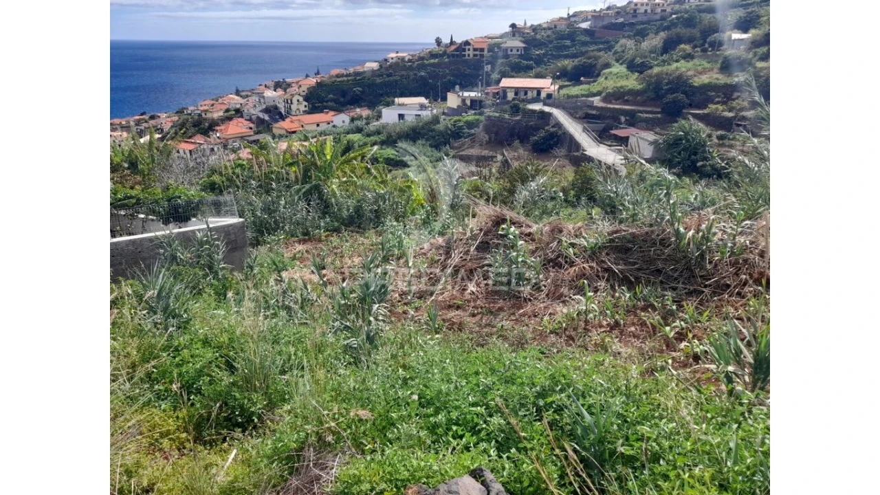 Terreno para Venda em Gaula Foto 2