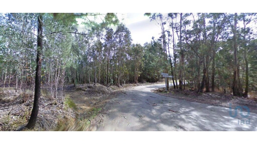Terreno para Venda em Espinhal Foto 2