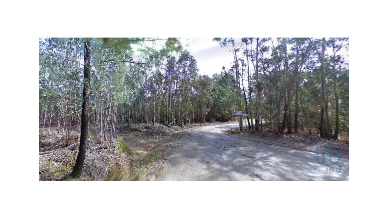 Terreno para Venda em Espinhal Foto 2