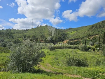 Terreno para Venda em Silves