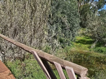 Terreno para Venda em Silves