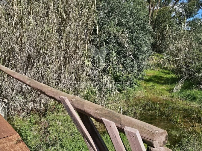 Terreno para Venda em Silves Foto 9