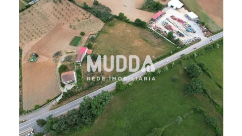 Terreno para Venda em Nogueira