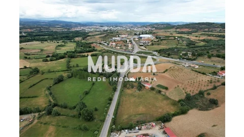 Terreno para Venda em Nogueira