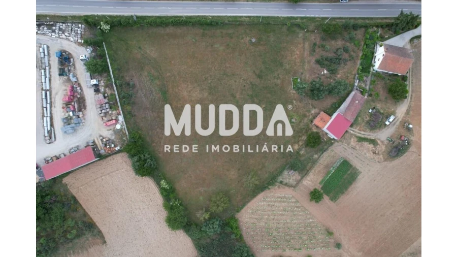 Terreno para Venda em Nogueira Foto 7