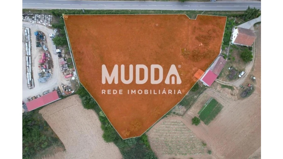Terreno para Venda em Nogueira Foto 4