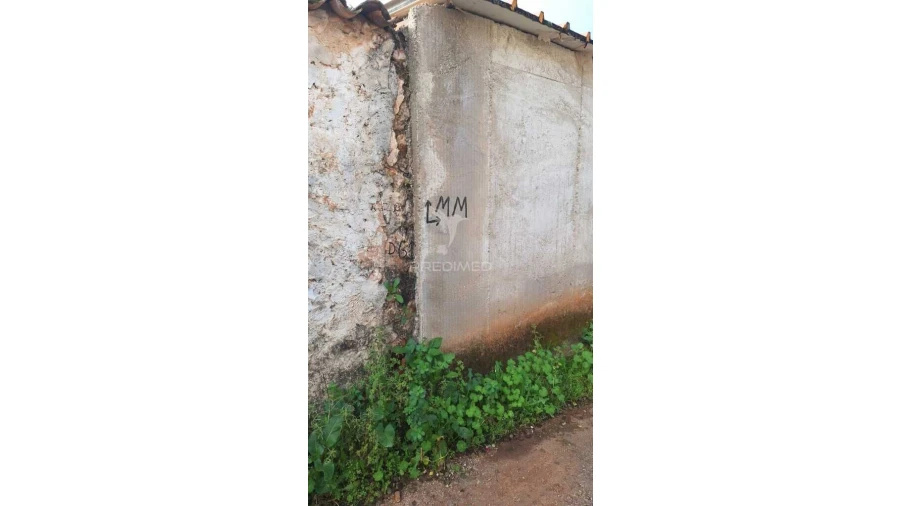 Quinta para Venda em Alte Foto 8