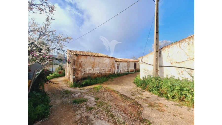 Quinta para Venda em Alte Foto 4