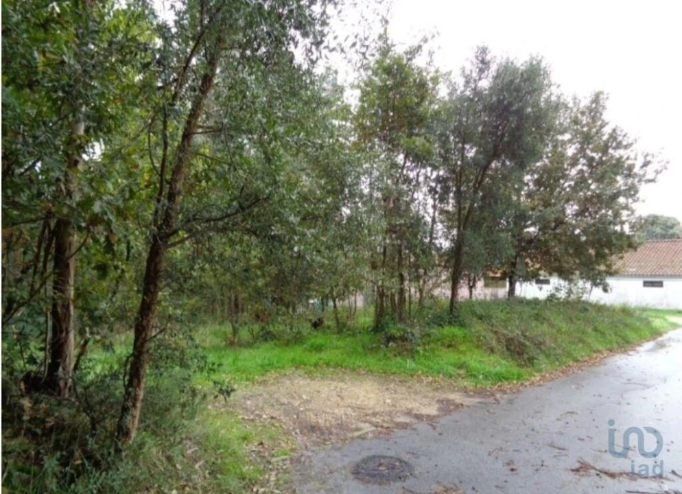 Terreno para Venda em Ovar, São João, Arada e São Vicente de Pereira Jusã Foto 1
