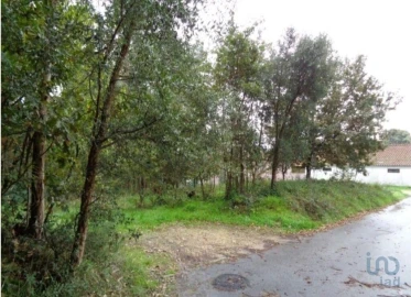 Terreno para Venda em Ovar, São João, Arada e São Vicente de Pereira Jusã