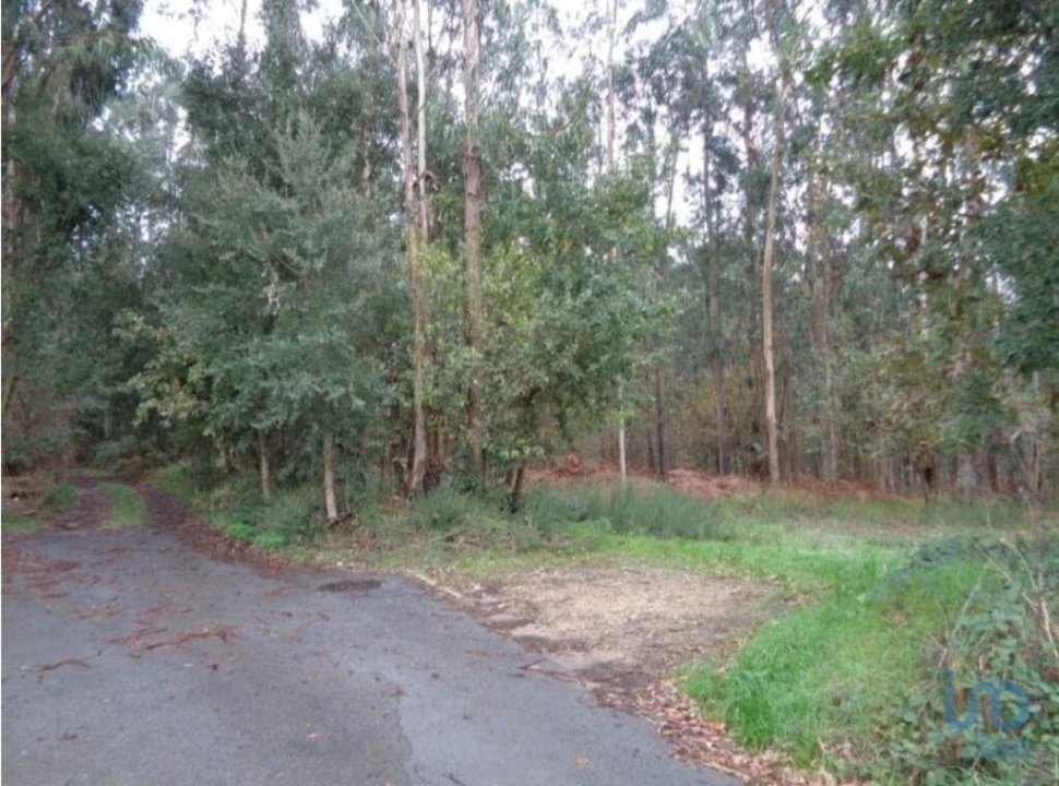 Terreno para Venda em Ovar, São João, Arada e São Vicente de Pereira Jusã Foto 3