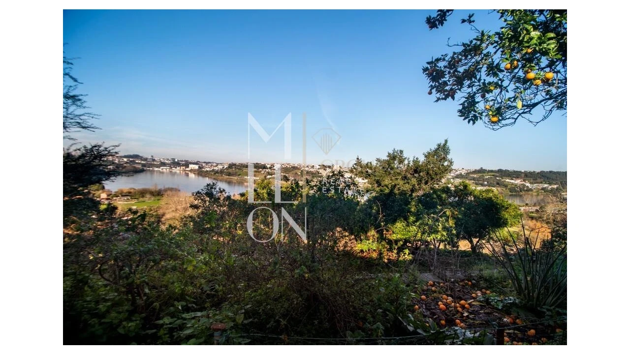 Quinta T5 para Venda em Avintes Foto 9