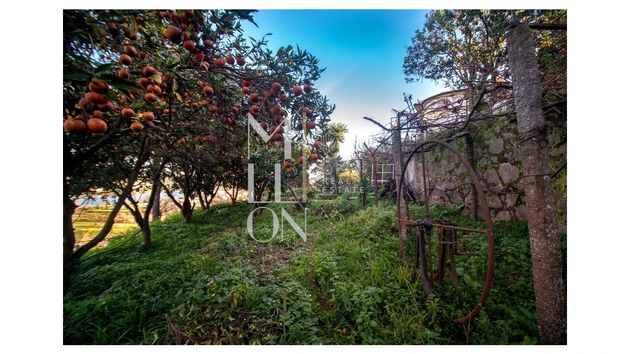 Quinta T5 para Venda em Avintes Foto 10