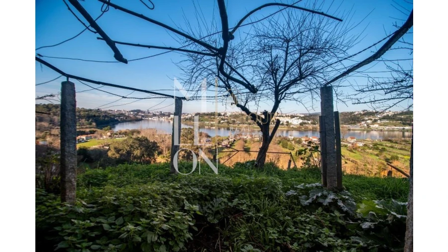 Quinta T5 para Venda em Avintes Foto 35