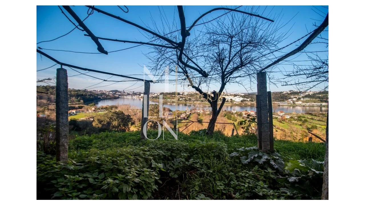 Quinta T5 para Venda em Avintes Foto 35