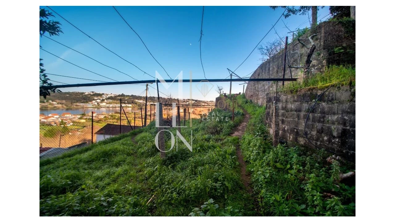 Quinta T5 para Venda em Avintes Foto 37