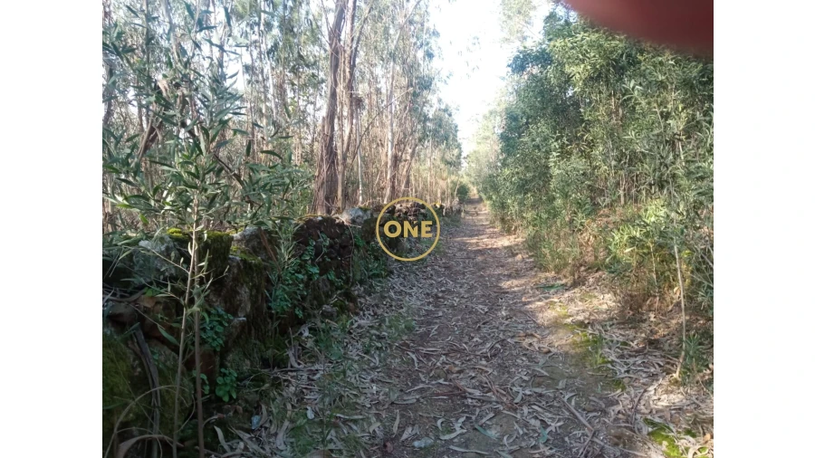 Terreno para Venda em Vila Cova e Feitos Foto 3