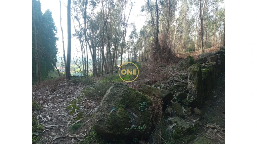 Terreno para Venda em Vila Cova e Feitos Foto 1