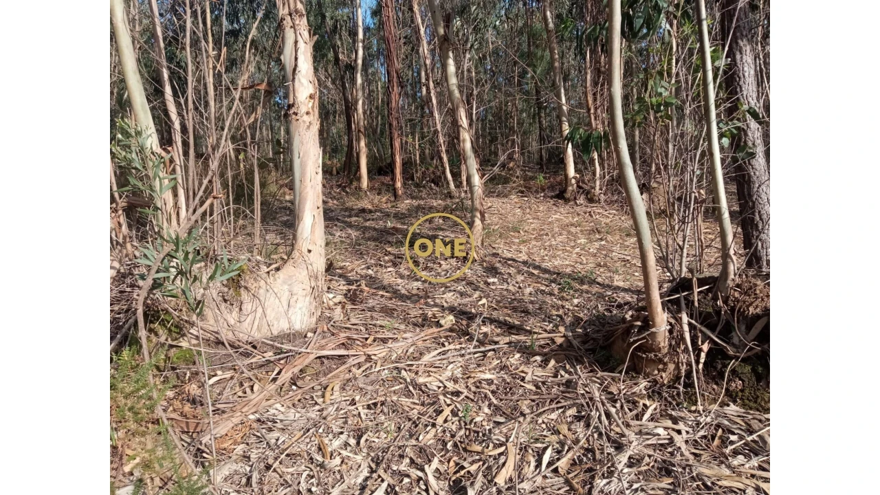 Terreno para Venda em Vila Cova e Feitos Foto 5