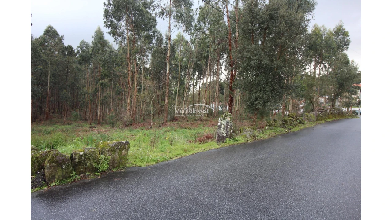 Terreno para Venda em Vila Cova e Feitos Foto 4