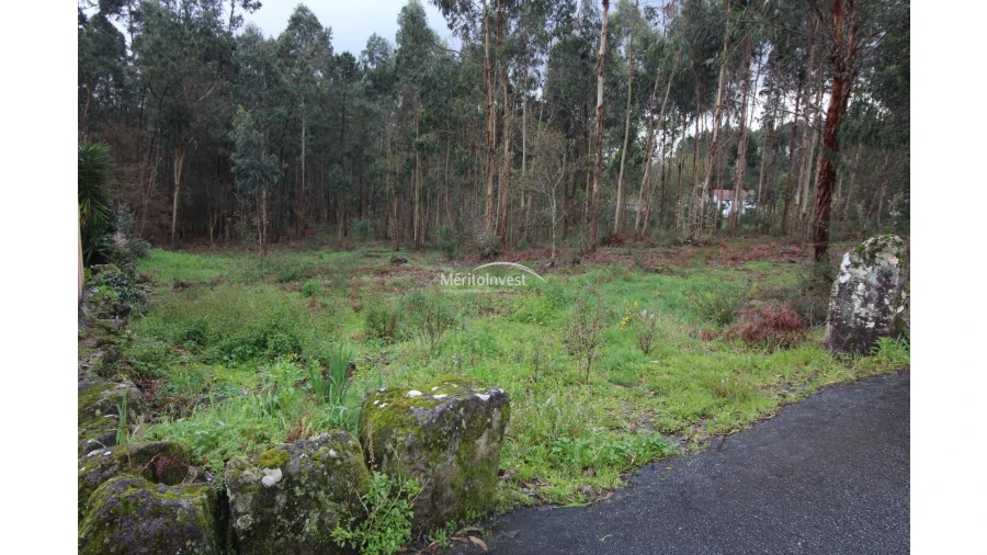 Terreno para Venda em Vila Cova e Feitos Foto 2