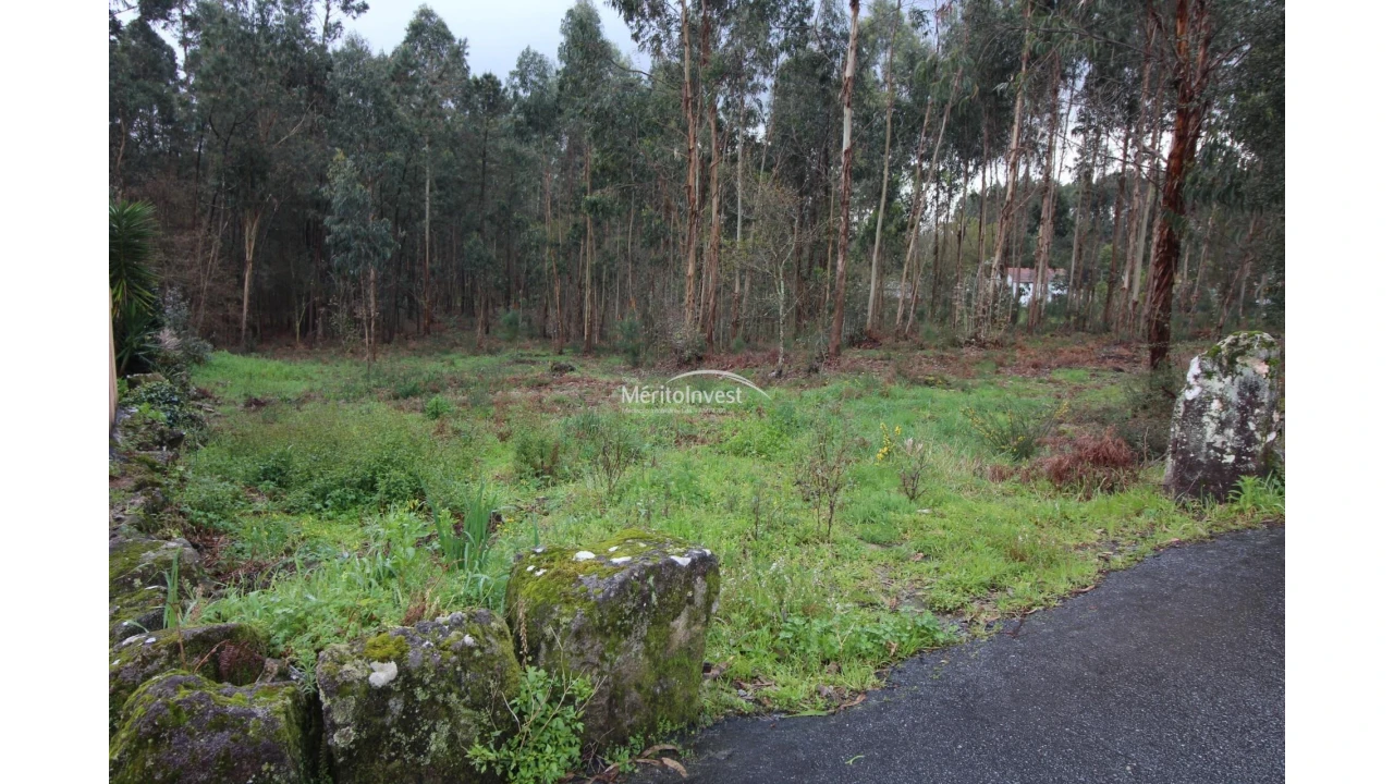 Terreno para Venda em Vila Cova e Feitos Foto 2