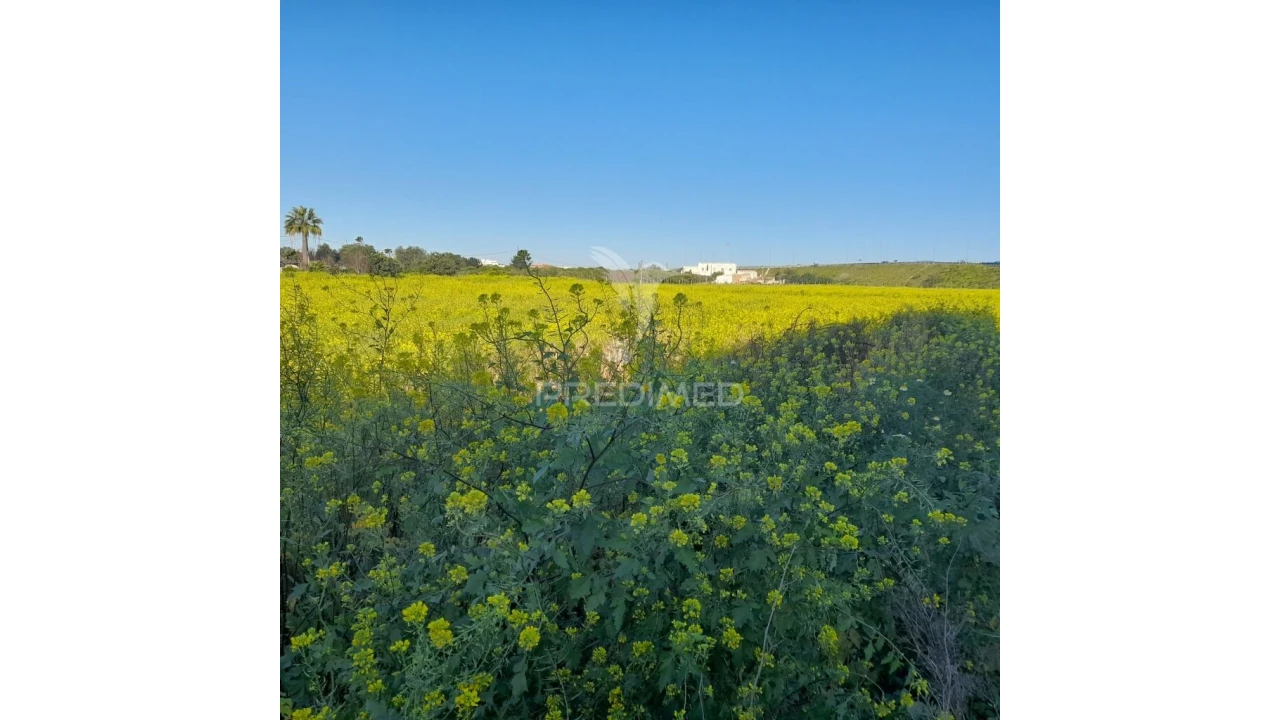 Terreno para Arrendamento em Faro (Sé e São Pedro) Foto 8