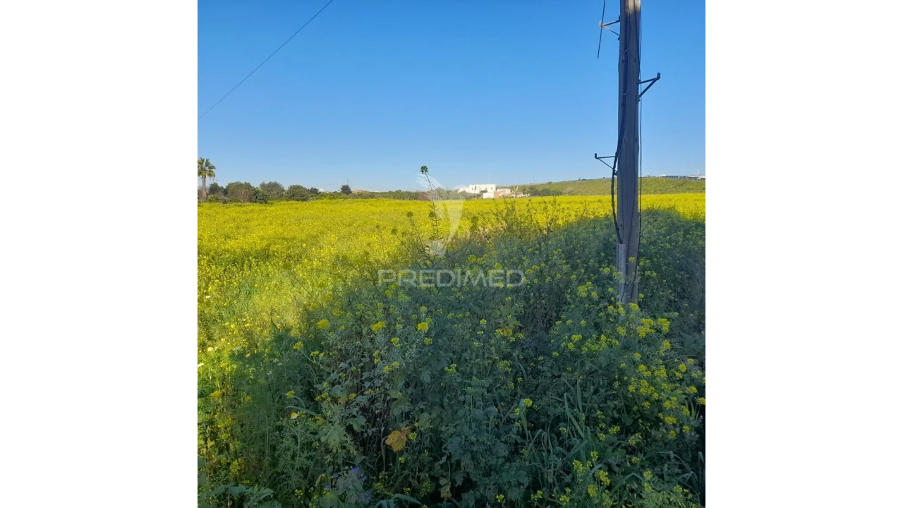 Terreno para Arrendamento em Faro (Sé e São Pedro) Foto 2