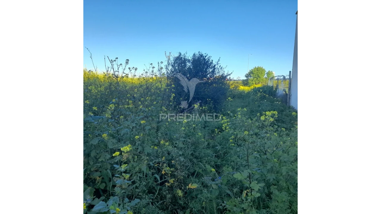 Terreno para Arrendamento em Faro (Sé e São Pedro) Foto 4
