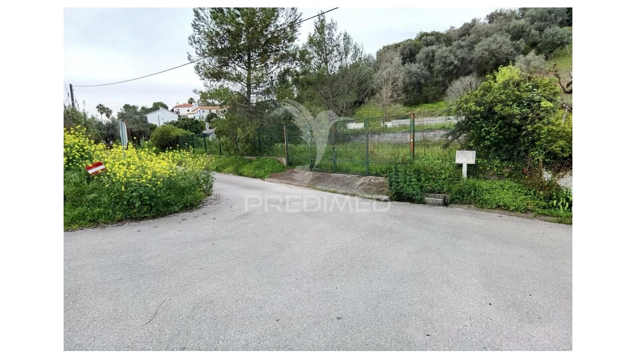 Terreno para Venda em Torres Novas (Santa Maria, Salvador e Santiago) Foto 1