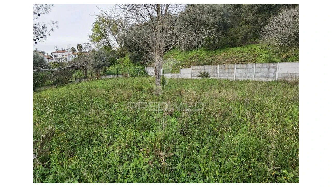 Terreno para Venda em Torres Novas (Santa Maria, Salvador e Santiago) Foto 12