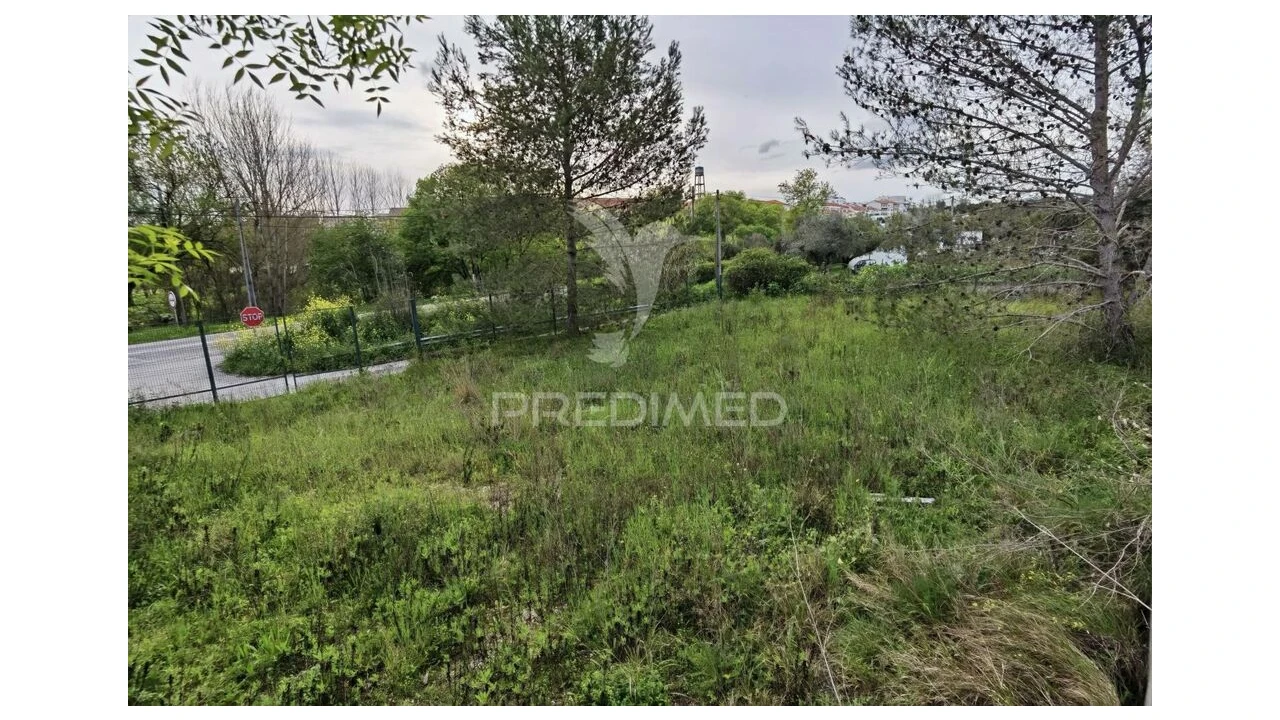 Terreno para Venda em Torres Novas (Santa Maria, Salvador e Santiago) Foto 13
